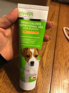 high calorie nutritional gel for puppies