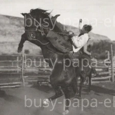 1910s RPPC Badland Cowboy Horse Western Rodeo Bronco North Dakota Postcard