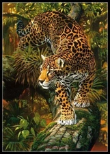 Jungle Leopard 3 - DIY Chart Counted Cross Stitch Patterns Needlework DMC Color