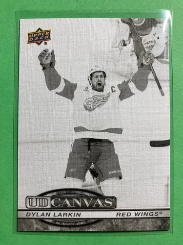 2025-26 Upper Deck UD Canvas Black and White #C-44 Dylan Larkin