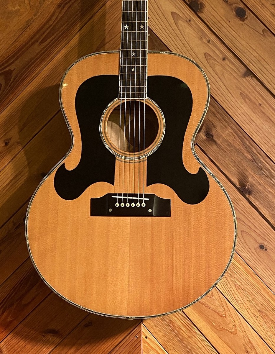Levinアコースティックギター lefty Morris WJ-100SK LEFTY Acoustic Electric Guitar | eBay