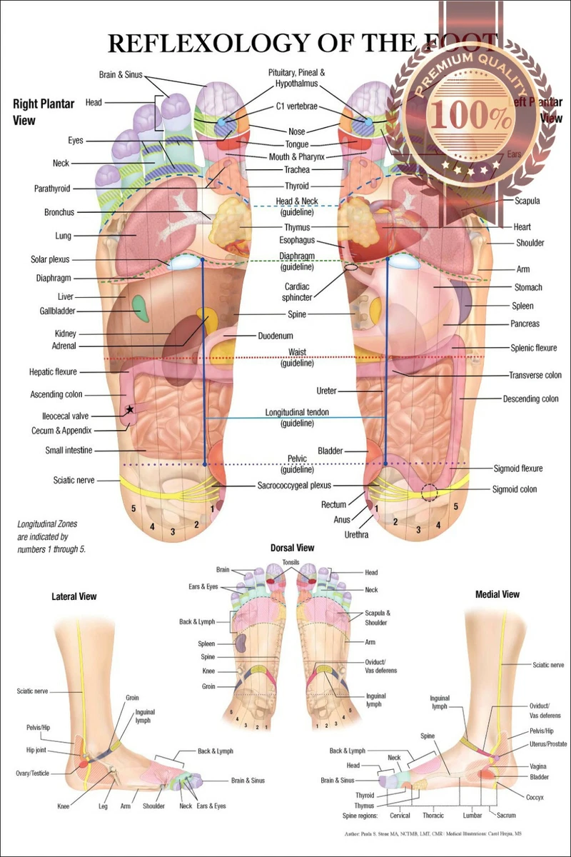 Foot Pain Chart