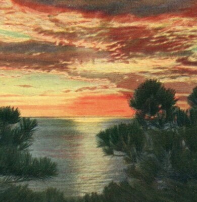 Scenic Sunset, Torrey Pines La Jolla Beach California Postcard