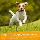 Bild 6 von 6