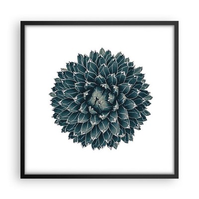 Wandbilder 50x50cm Poster Agave Königin Victoria Wandposter Bilder Art Wanddeko