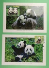 DR WHO TAIWAN CHINA 2 FDC MAXIMUM CARD PANDA R62558