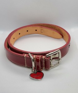 coach leash