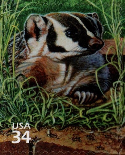 USA 2001 NATURE OF AMERICA, GREAT PLAINS PRAIRIE, 3rd SERIES, SCOTT 3506 MNH - Picture 4 of 13