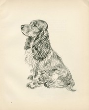 COCKER SPANIEL VINTAGE 1936 DOG ART PRINT by LUCY DAWSON