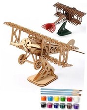 Paintable 3D Wooden Airplane Puzzle for Adults
