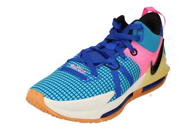 lebron nike trainers