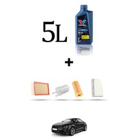 Hoffcar Wartungsset 4 Filter Und 5L ÖL FüR Audi TT II (8J3) 2.0 Tfsi 200KW Ab