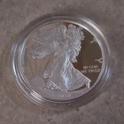 U.S. Mint 2020 American Silver Eagle $1 1 oz .999 Silver Business Uncert