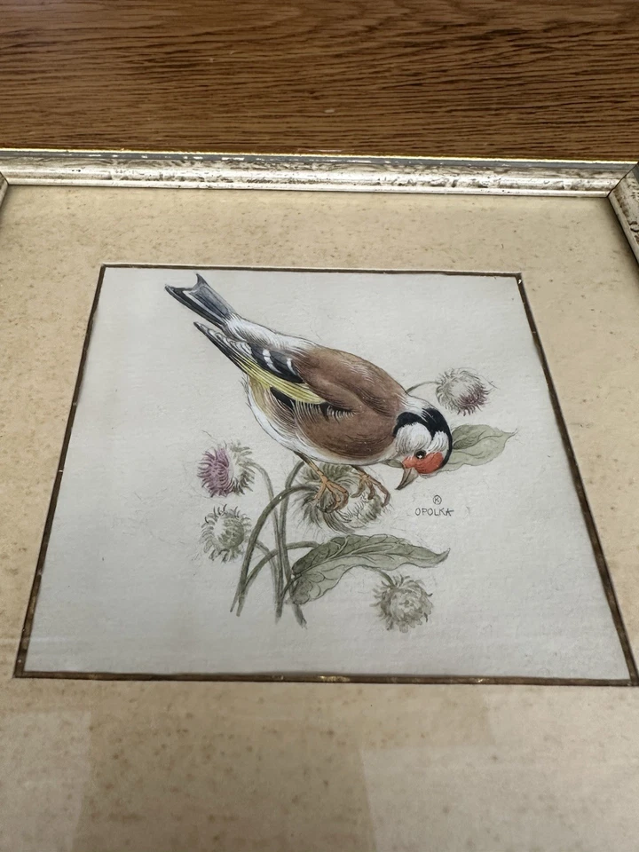 2 Vintage Vogelbilder im Rahmen Meise & Stieglitz 18×20 cm Shabby Chic - Bild 2 von 4