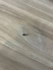 Ruger New Model Single Action, Front Sight Screw, part# XRN-76, RU-676