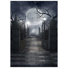 Halloween Backdrop Vinyl Photo Background Halloween Photography Backdrop Moon...