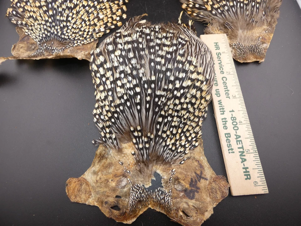 Capa de gallo jungle 3 piezas material para atar moscas plumas Foto 2 de 4