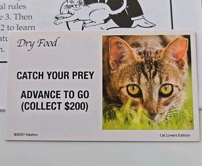 2007 Monopoly Cat Lover Advance to Go Catch Prey Dry Food Chance Card Game Piece