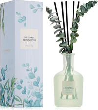 Eucalyptus & Wild Mint Reed Diffuser – 6.76 Oz Essential Oil with Sticks & Dried