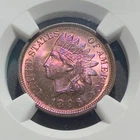 1896 Indian Head One Cent Piece NGC MS 64 RB Gorgeous Pink and Purple Toning!
