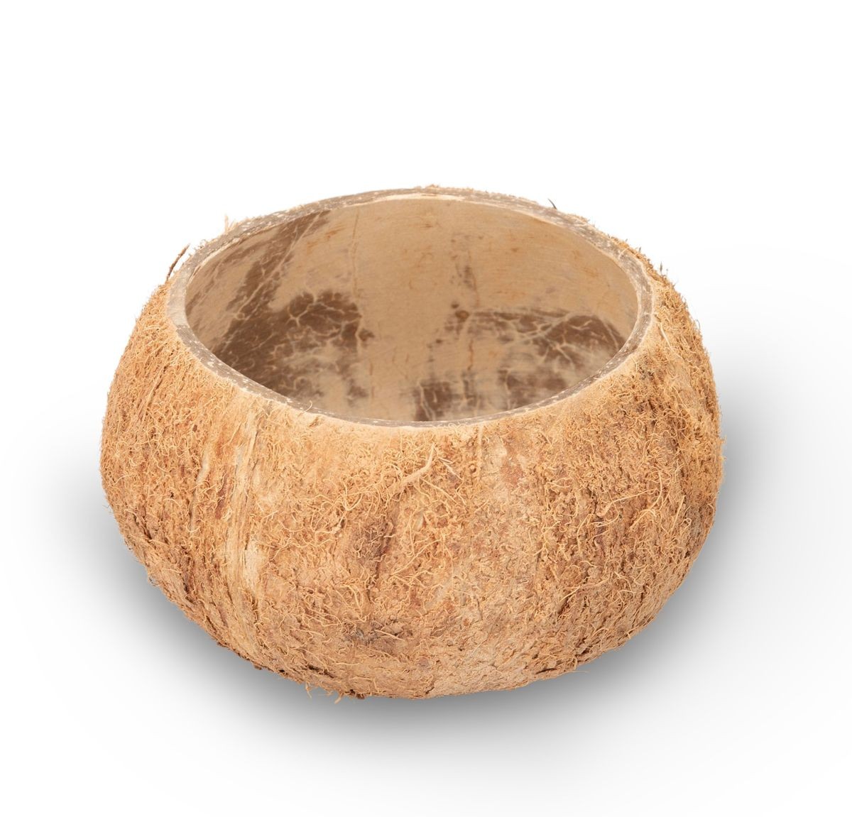 Kokosnuss Schale Natur Deko Ø10–13cm | Terrarium, Basteln, Futterschale