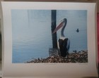 Picture 17 of 26