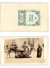 Egypte, Hammerschmidt Vintage albumen print CDV.  Tirage albuminé  7x9,5  