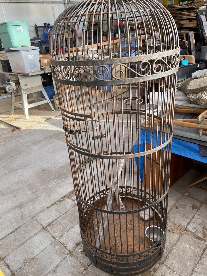 Large Vintage Domed Wrought Iron Antique Bird Cage eBay