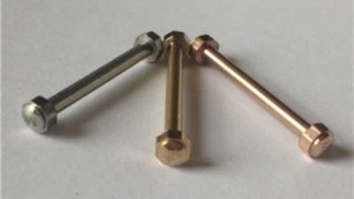 MICHAEL KORS #ROSE GOLD LUG SCREW BAR PINS REPAIR PARKER MODEL MK5896, MK5491.