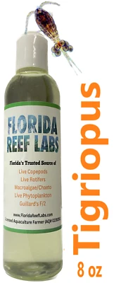 Live Copepods (TIGRIOPUS - Tig/Tigrio) 8 oz - Florida Reef Labs®