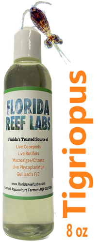 Tigrio Live Copepods (TIGRIOPUS - Tig/Tigrio) 8 oz - Florida Reef Labs® | eBay