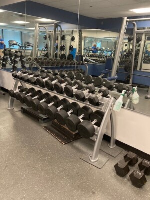 Cybex Rubber Dumbbell set with rack