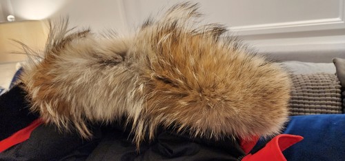 NEW GREY LABEL EDITION RED CANADA GOOSE EXPEDITION MEDIUM FITS "L-XL" PARKA - Picture 14 of 24