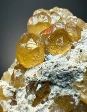 Hessonite Garnet Cluster on Matrix from Pakistan | Natural Collector Specimens