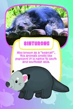 Binturong Fiesta Toys 12" Snugglie Stuffed Animal Plush Toy NWT!