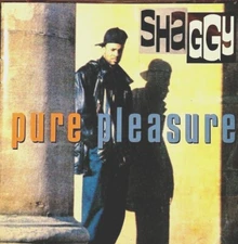 Shaggy - Pure Pleasure   - CD, VG 