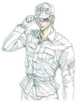 Cells At Work Graphic Novel Vol 06 Manga - English