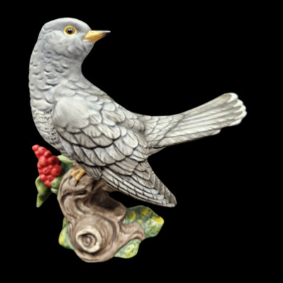 Goebel: Kuckuck Vogel des Jahres 2008