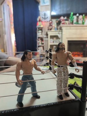 2 Matt Hardy Action Figures