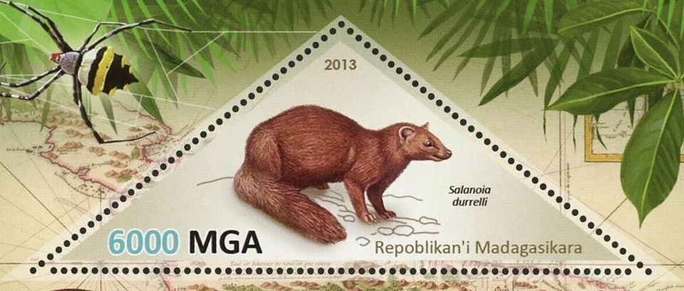 Salanoia Durrelli Stamp Fauna Wild Animal Souvenir Sheet Mint NH - Image 2 of 4