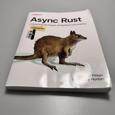 Async Rust by Maxwell Flitton & Caroline Morton O'Reilly Programming Paperback