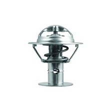 Thermostat Jaguar E
