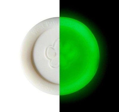 West Paw Zisc - 22 cm - LeuchtendGlow