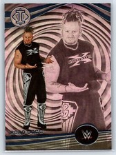 2023 Panini Chronicles Illusions WWE Road Dogg #263