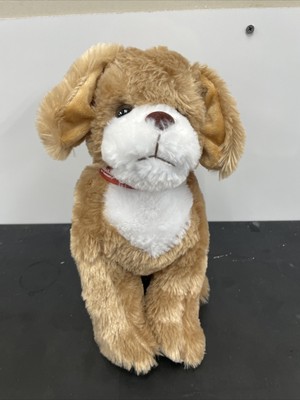 how old for shock collar