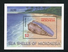 Micronésie bloc numéro 94, MNH, coquillage