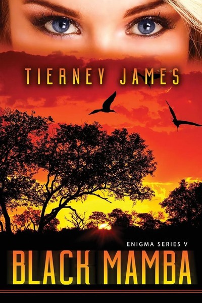 Black Mamba Tierney James Taschenbuch Englisch 2024 L & D Press-image