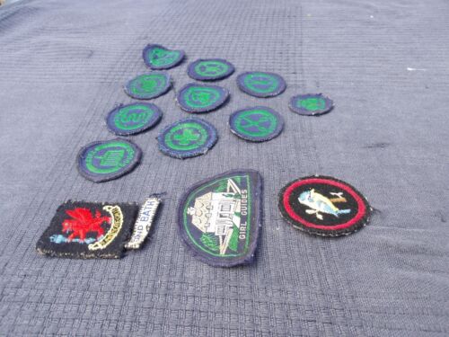 Lot of 13 Vintage 1960s Girl Guide Cloth Badges - Picture 17 of 23