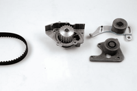 Wasserpumpe + Zahnriemensatz FüR CitroËN Fiat Lada Peugeot Rover Suzuki FSO