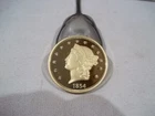 1854S 13 STAR LIBERTY 20 DOLLAR GOLD PLATED OVER SILVER COIN "COPY"